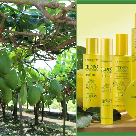 Da Giovanna Dimora Del Turista Apartment Santa Maria Del Cedro