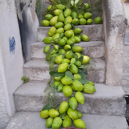 Da Giovanna Dimora Del Turista Apartment *