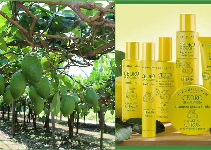 Da Giovanna Dimora Del Turista Διαμέρισμα Santa Maria Del Cedro